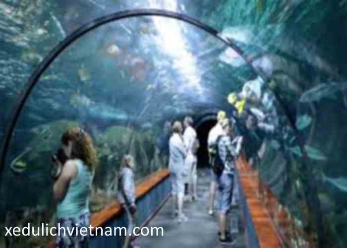 Thuê xe Sài Gòn đi Nha Trang