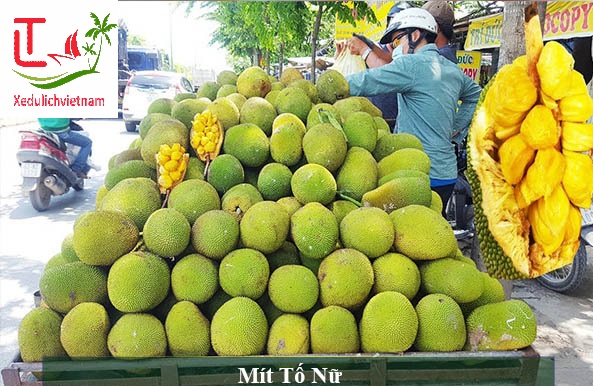 https://localtouristmuine.com/cho-thue-xe-tu-sai-gon-di-huyen-vinh-cuu/ Mít tố Nữ