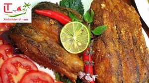 https://localtouristmuine.com/gia-thue-xe-hop-dong-du-lich-sai-gon-di-vinh-phuc/ Gia Thue Xe Hop Dong Sai Gon Di Vinh Phuc