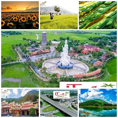 https://localtouristmuine.com/cho-thue-xe-hop-dong-gia-re-tu-vung-tau-di-tay-ninh/ Thuê xe Vũng Tàu đi Tây Ninh Giá rẻ