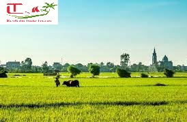 Cho Thue Xe Nha Trang Di Thai Binh