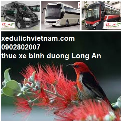 Cho Thue Xe Binh Duong Di Long An