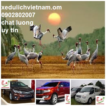 Thue Xe Phan Thiet Di Dong Thap