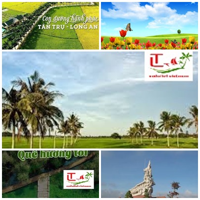 Thue Xe Long An Di Vung Tau