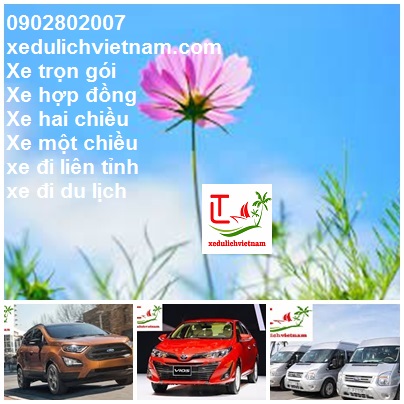 Cho Thue Xe Binh Duong Di Quy Nhon