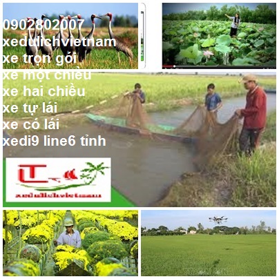 Thue Xe Dong Thap Di Tay Ninh