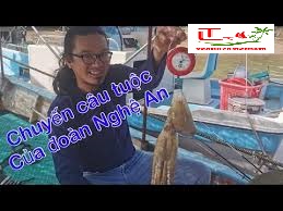 Tour Cau Ca Nha Trang