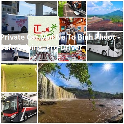 Private Car Mui Ne To Binh Phuoc Safe Driving, Pro Driver