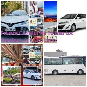 Private Car Mui Ne To Bao Loc Tranfers. 4, 7, 16, Limo