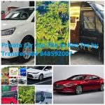 Private Car Can Tho To Ben Tre By Transfer.+84 848592007