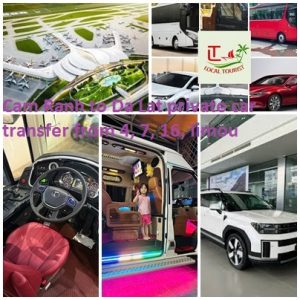 Cam Ranh To Da Lat Private Car Transfer From 4, 7, 16, Limou