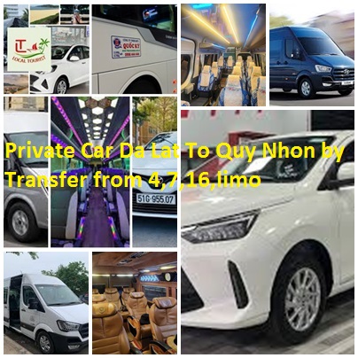 Private Car Da Lat To Quy Nhon By Transfer From 4,7,16,limo