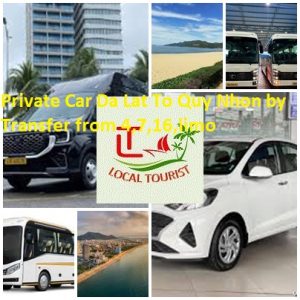 Private Car Da Lat To Quy Nhon By Transfer From 4,7,16,limo