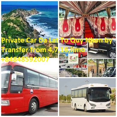 Private Car Da Lat To Quy Nhon By Transfer From 4,7,16,limo