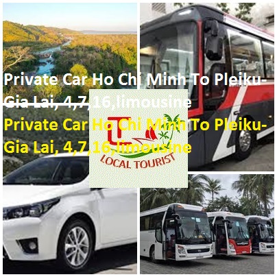 Private Car Ho Chi Minh To Pleiku Gia Lai, 4,7,16,limousine