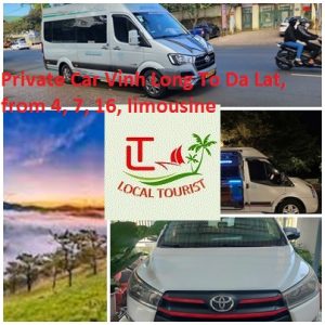 Private Car Vinh Long To Da Lat, From 4, 7, 16, Limousine