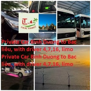 Private Car Binh Duong To Bac Lieu, With Driver 4,7,16, Limo