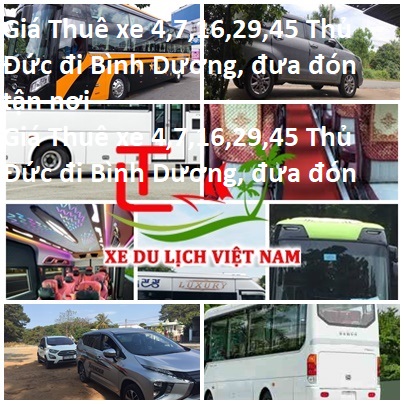 Car Rental Thu Duc Binh Duong