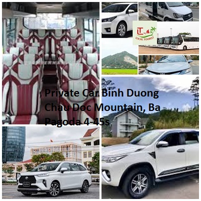 Private Car Binh Duong Chau Doc Mountain, Ba Pagoda 4 45s