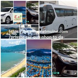 Private Car Quy Nhon To Da Nang For English Speaking 4,7,16,limo