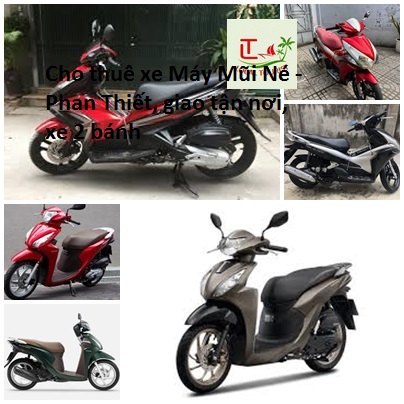 Cho thuê xe Máy Mũi Né - Phan Thiết, giao tận nơi, xe 2 bánh Cho Thuê Xe Máy Mũi Né Phan Thiết, Giao Tận Nơi, Xe 2 Bánh