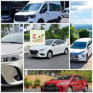 Private Car From Tay Ninh To My Tho, Tien Giang, 4,7,16,limo