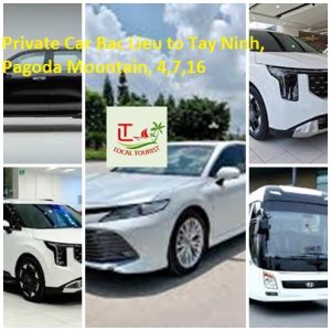 Private Car Bac Lieu To Tay Ninh, Pagoda Mountain, 4,7,16