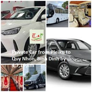 Private Car From Pleiku To Quy Nhon, Binh Dinh By 4,7,16,lim